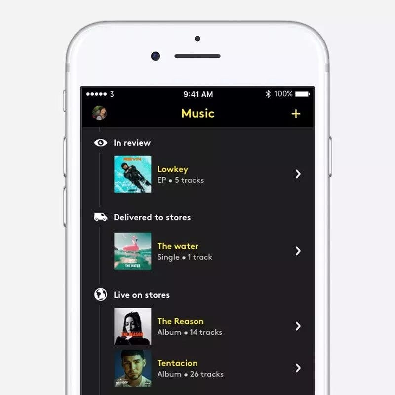 Free (With Signup) - Amuse - Spotify &  Music Now Playing Widget